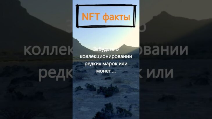 За чем сейчас охотятся энтузиасты NFT?