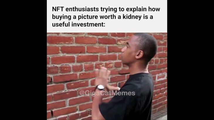 NFT enthusiasts explaining how “useful” an NFT is