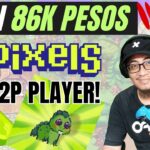 PIXELS NFT LEFT RIGHT – GET A CHANCE TO EARN 86K PESOS