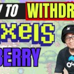 PIXELS NFT PAANO MAG WITHDRAW: HOW TO WITHDRAW BERRY