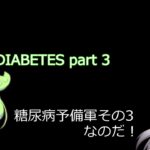 PREDIABETES part 3 with pauses for repeating/interpreting 糖尿病予備軍その３なのだ！