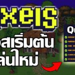 Pixels (Game NFT) วิธีเดินเควสเริ่มต้น ผู้เล่นใหม่ สายฟรี