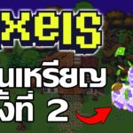 Pixels Online (Game NFT) ถอนเหรียญครั้งสอง สายฟรีเล่นได้