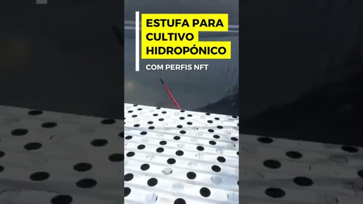 Produção Hidropónica🌱💧Sistema NFT 💪  #agriculturasustentável #hidroponia