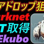 【エアドロップ狙い】Starknet NFT取得～Ekuboもご紹介～