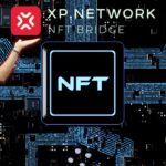 XP Network’s Multichain NFT Future: Your Path to Becoming a Millionaire Starts Here!