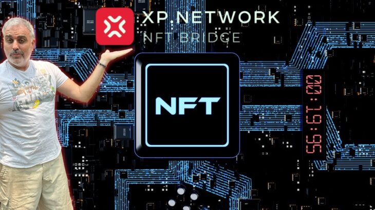 XP Network’s Multichain NFT Future: Your Path to Becoming a Millionaire Starts Here!