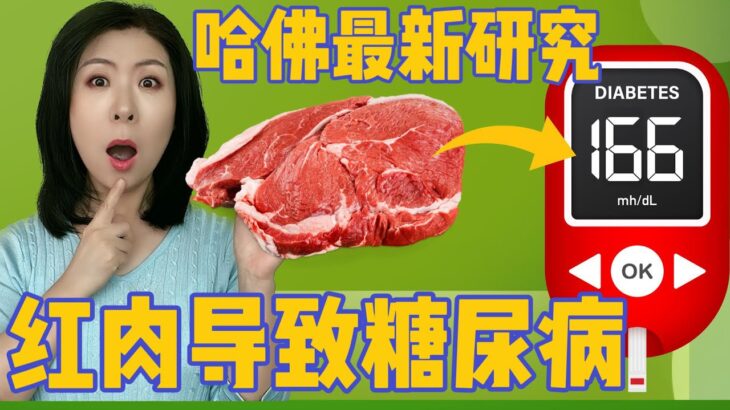 红肉导致糖尿病？真的吗？名校哈佛的研究是否靠谱—深度解析