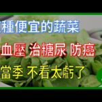 治糖尿病 降血壓的蔬菜 ! 對抗各種「老人病」 售價便宜 不看可惜 ! 中老年人必看 對抗慢性病 又防癌【健康生活站】