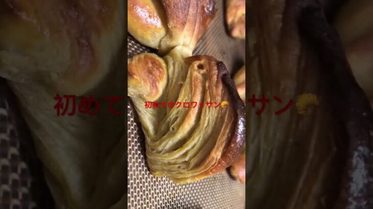 はじめてパン作り🥐 #糖尿病食 #料理 #生活習慣病 #糖質制限 #手作りパン