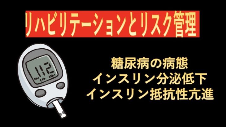 リハビリテーションとリスク管理-糖尿病の病態メカニズム（インスリン分泌低下・インスリン抵抗性亢進)-