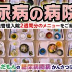 特別編「糖尿病の病院食をレビューするの巻」／ずんだもんの糖尿病闘病かんさつにっき 【ノンフィクション】