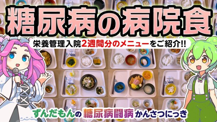 特別編「糖尿病の病院食をレビューするの巻」／ずんだもんの糖尿病闘病かんさつにっき 【ノンフィクション】