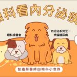 獸醫眼科看內分泌系列（犬貓糖尿病）