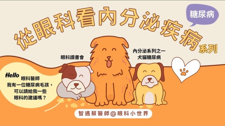 獸醫眼科看內分泌系列（犬貓糖尿病）