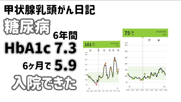 【甲状腺×糖尿病】対策したから入院できた　糖尿病とは？リブレ記録