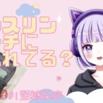 【1型糖尿病】インスリンポーチの中身 ¦ 命の次に大事なもの！【新人VTuber】