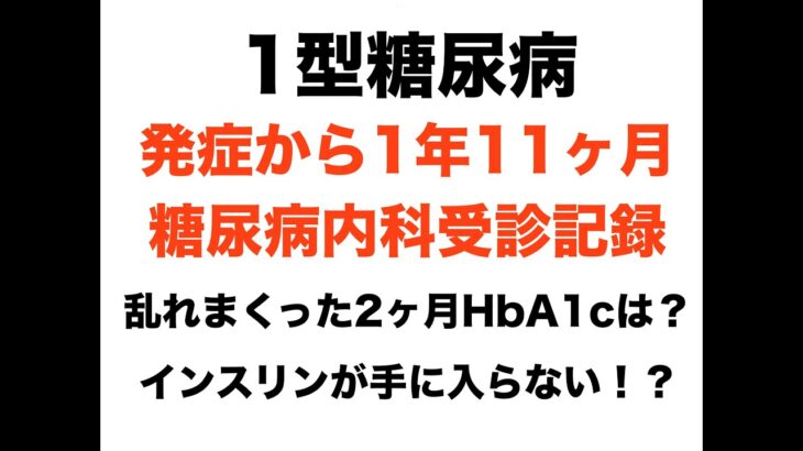 【１型糖尿病】発症から1年11ヶ月目の糖尿病内科受診記録