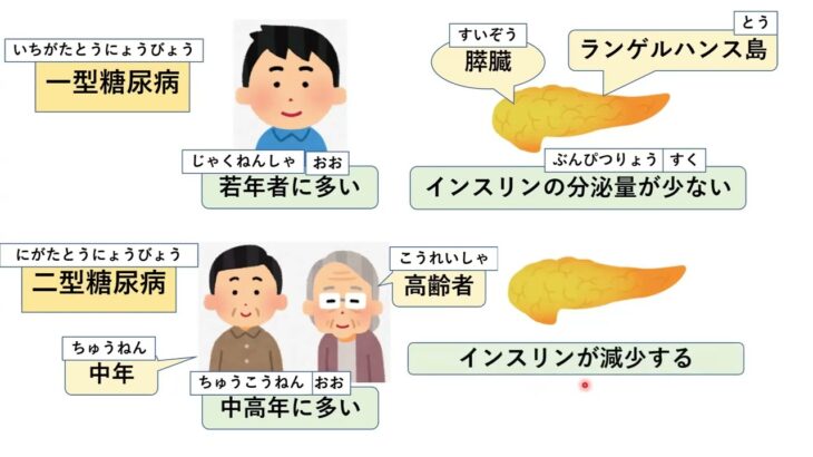 15 糖尿病のつづきｂｙ外国人初心者の介護の勉強