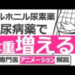 【15分で糖尿病専門医が解説】スルホニル尿素薬はインスリン工場のスイッチを入れる糖尿病薬