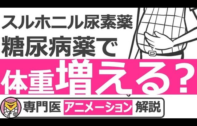 【15分で糖尿病専門医が解説】スルホニル尿素薬はインスリン工場のスイッチを入れる糖尿病薬