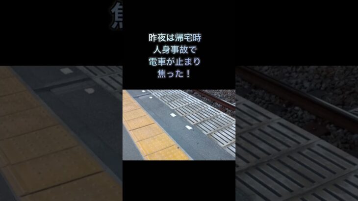 2023年12月7日♯スージャヌ7日目♯糖尿病♯体重減少