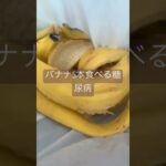 バナナ結局5本食べた糖尿病　心筋梗塞手術後313日目朝食　#糖尿病 #糖尿クック #心筋梗塞 #闘病 #闘病生活 #バナナ #banana