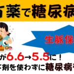 院内新聞772号youtube（糖尿病と生脈保元湯）