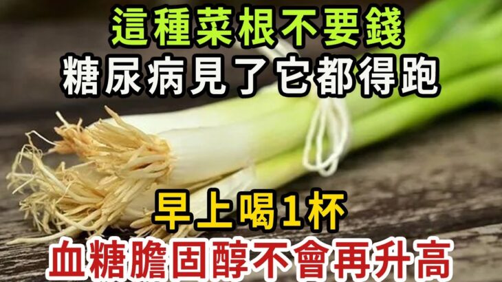 這種菜根不要錢，卻是糖尿病的「天敵」，早上喝一杯，血糖立馬從9.6降到4.0，糖 膽固醇都一降再降，血管乾淨，預防三高【健康管家】