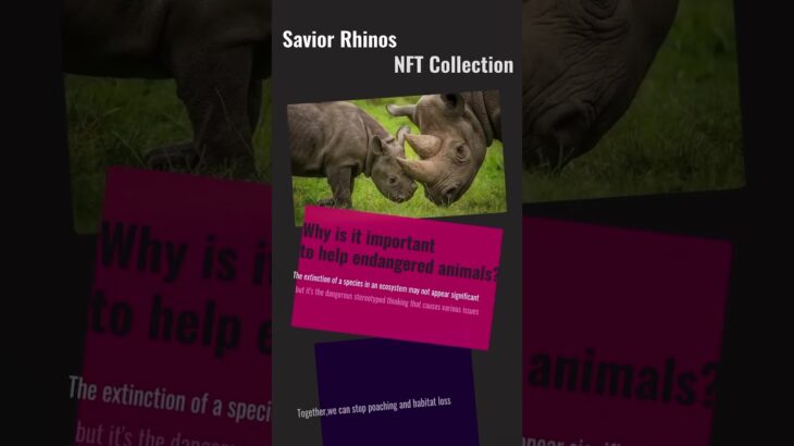 Buying every NFT is a step to save rhinos from extinction 🦏🌍