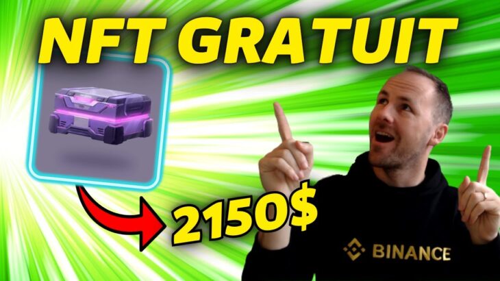 ENCORE UN FREE MINT NFT GAMING QUI EXPLOSE A 1ETH! – ACTU