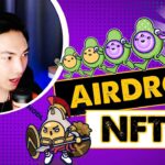 Hướng Dẫn Tham Gia Bumpies NFT Airdrop Bumpies Mới Nhất Của Avocado DAO