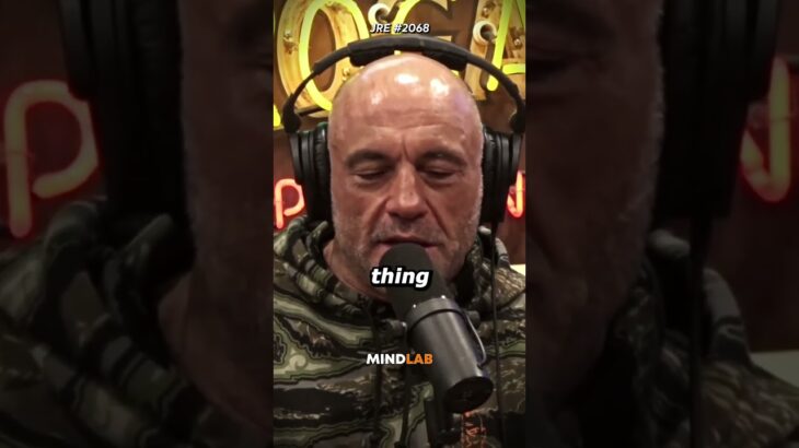 Joe Rogan’s Opinion On NFT’s