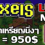 [ LIVE ] Pixels (Game NFT ) : งอกงอกงอกงอกงอก 55+ EP.28