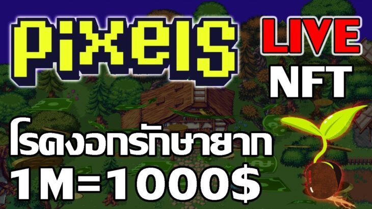 [ LIVE ] Pixels (Game NFT ) : เหรียญนิ่งๆ ใครจะอดใจไหว EP.33