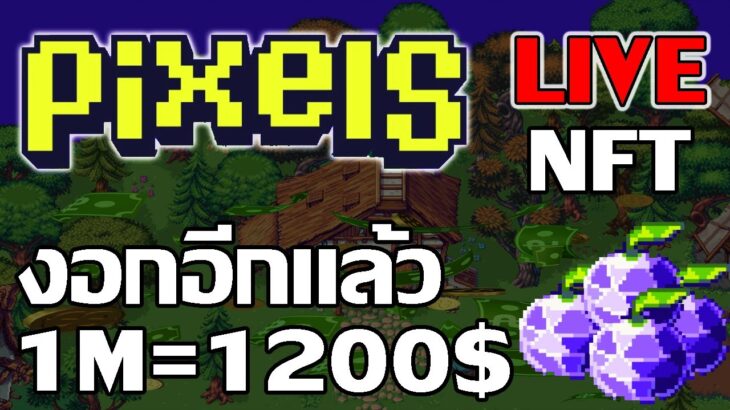 [ LIVE ] Pixels (Game NFT ) : หยุดโรคงอกไม่ได้จริงๆ EP.38