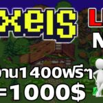 [ LIVE ] Pixels (Game NFT ) : ไลฟ์โค้ชด้านความลัก NFT EP.29