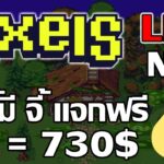 [ LIVE ] Pixels Online (Game NFT) : พลังงานฟรี ตอนตี 3 อย่าลืม EP.24