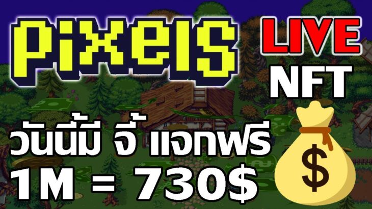 [ LIVE ] Pixels Online (Game NFT) : พลังงานฟรี ตอนตี 3 อย่าลืม EP.24