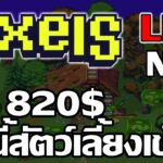 [ LIVE ] Pixels Online (Game  NFT) : เหรียญ To da moon สายฟรีถามได้ EP.17