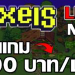 [ LIVE ] Pixels Online (P2E NFT) : ปลูกผักทำฟาร์ม ชม.100 บาท EP.13