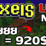 [ LIVE ] Pixels Online (P2E NFT) : การแข่งปิดแล้ว TT สายฟรีถามได้ EP.15