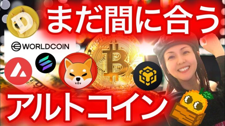 【ビットコイン仮想通貨初心者必見シリーズ】まだ間に合うアルトコイン NFTまり