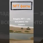 Что значит – владеть NFT?