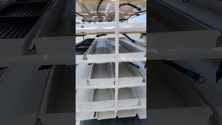 NFT Aquaponic Growing Systems Barley Growing Fodder Trays