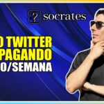 NOVO TWITTER NFT SOCRATES PAGANDO MUITO BEM R$100 REAIS SEMANALMENTE + BAIXO INVESTIMENTO