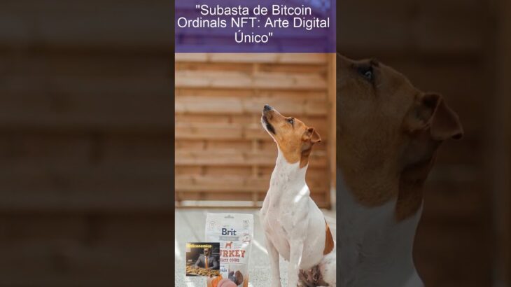 “Subasta de Bitcoin Ordinals NFT: Arte Digital Único”