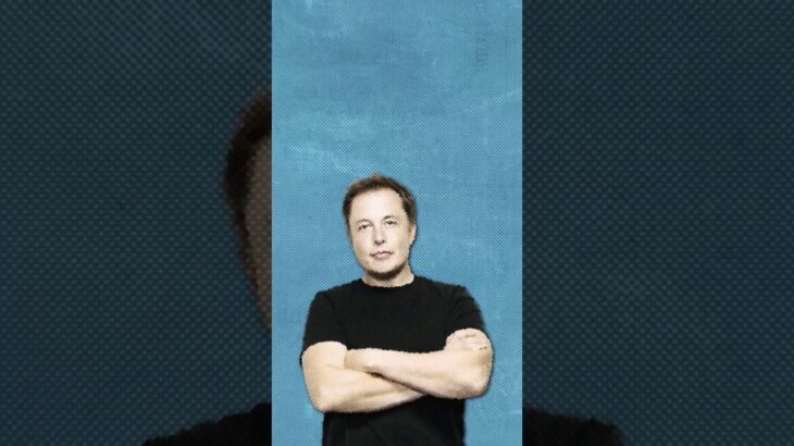 Unpacking Elon Musk’s NFT skepticism! 🚫🎨