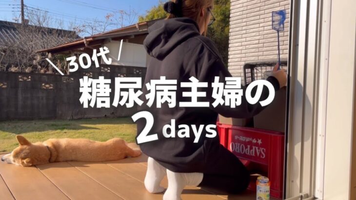 【Vlog】柴犬と糖尿病主婦の平日／食料品爆買いから収納まで