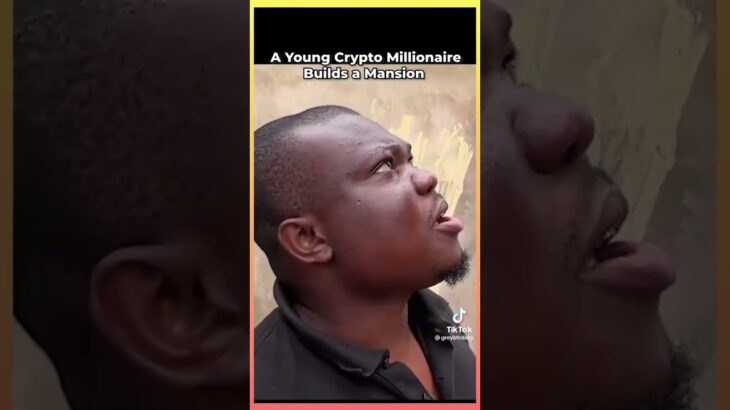 Young Crypto Millionaire #next #bullrun #bitcoin #price #nft #memecoin